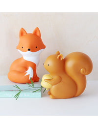 Little light: Squirrel