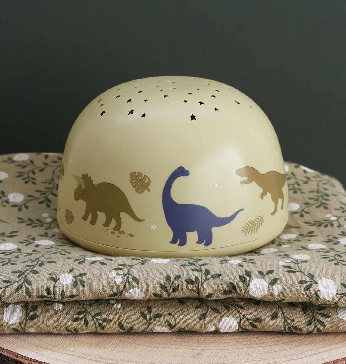 Projector light: Dinosaurs