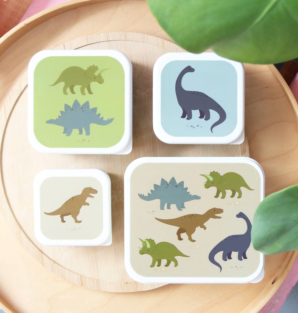 Lunch snack box set Dinosaurs Lunch boxes A Little Lovely Company